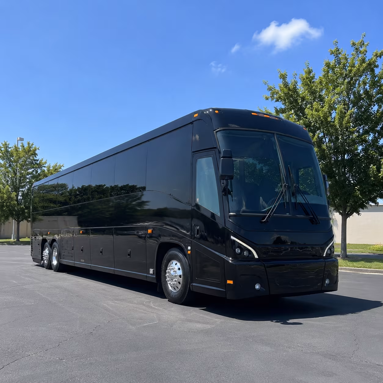 beaumont 56 passenger charter bus
