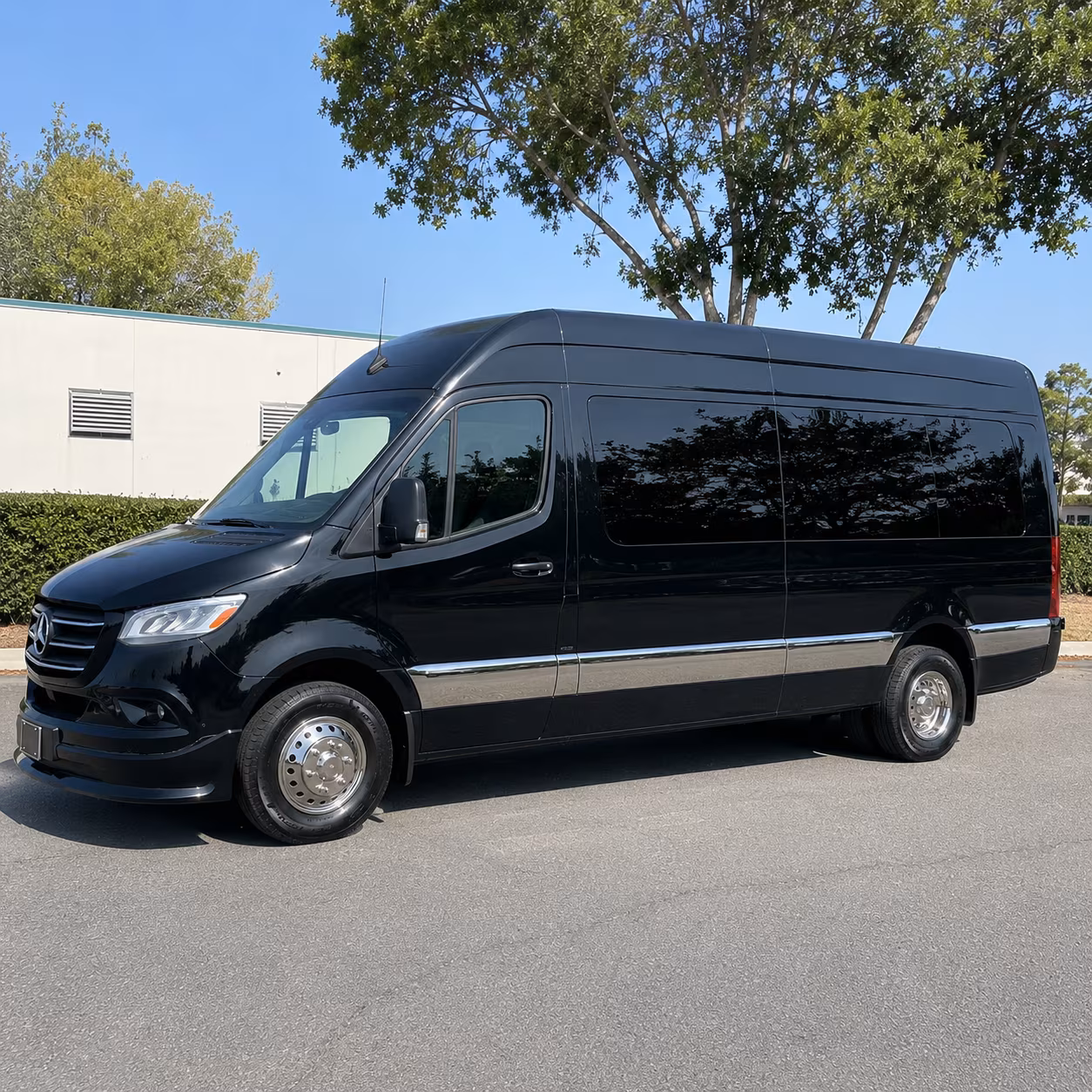 secure transportation for your next birthday 4
